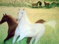 GALOP - ANIMAUX