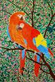 LES PERROQUETS - ANIMAUX