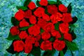 geronimo-pascal - FLEURS
